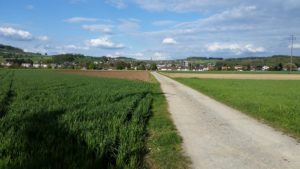 20160428_180723