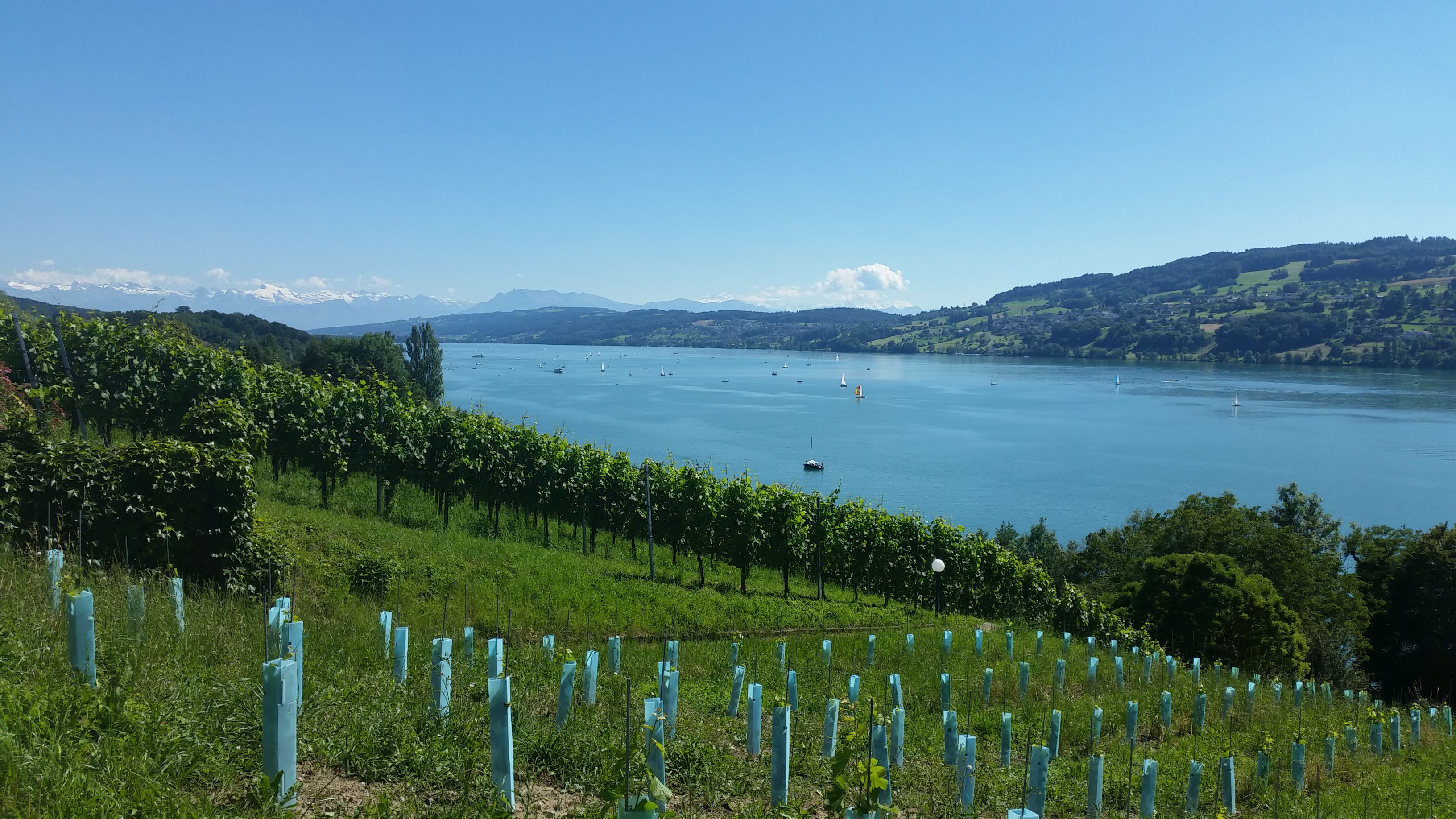 IMG-20160717-WA0002
